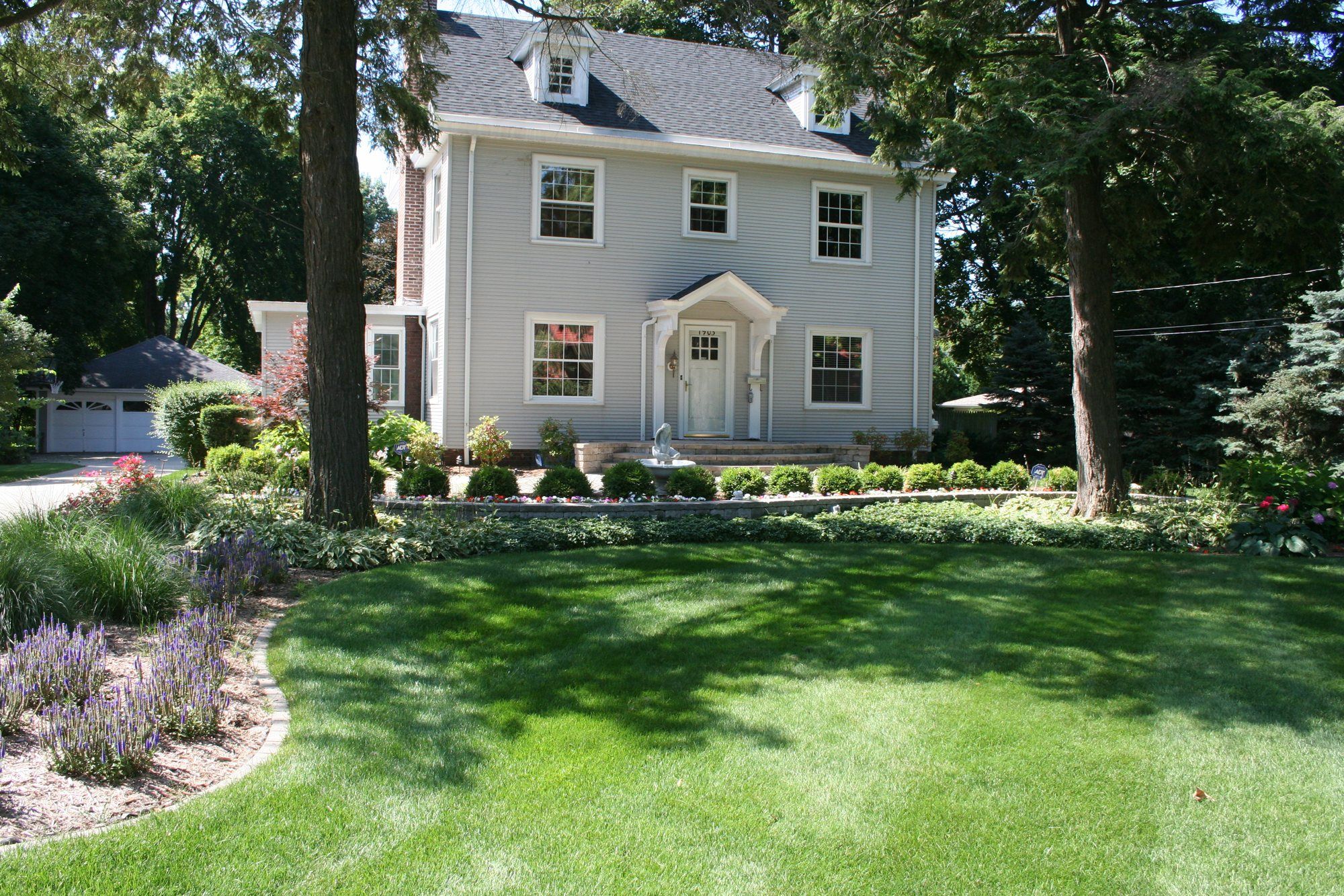 Striped front lawn and curving landscape beds with salvia and ornamental grass in front of a colonial home