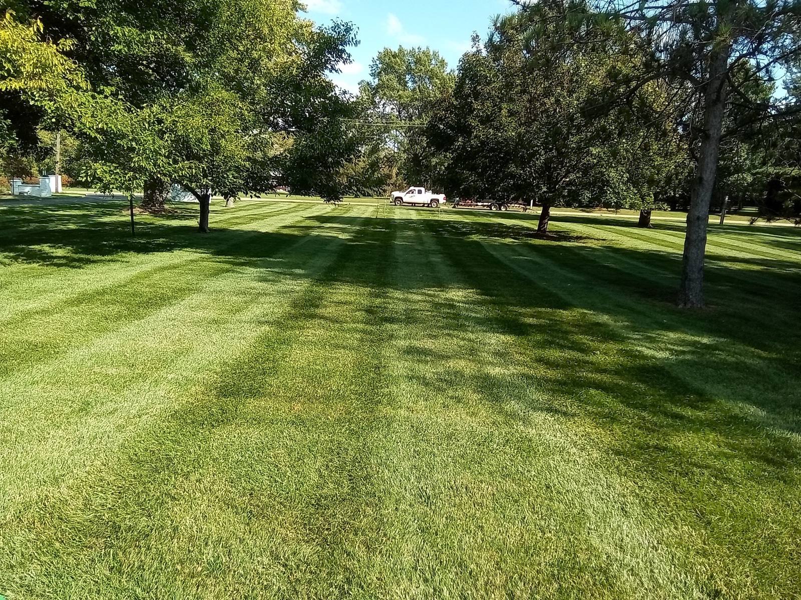 Large striped lawn with mature trees after a fresh mow