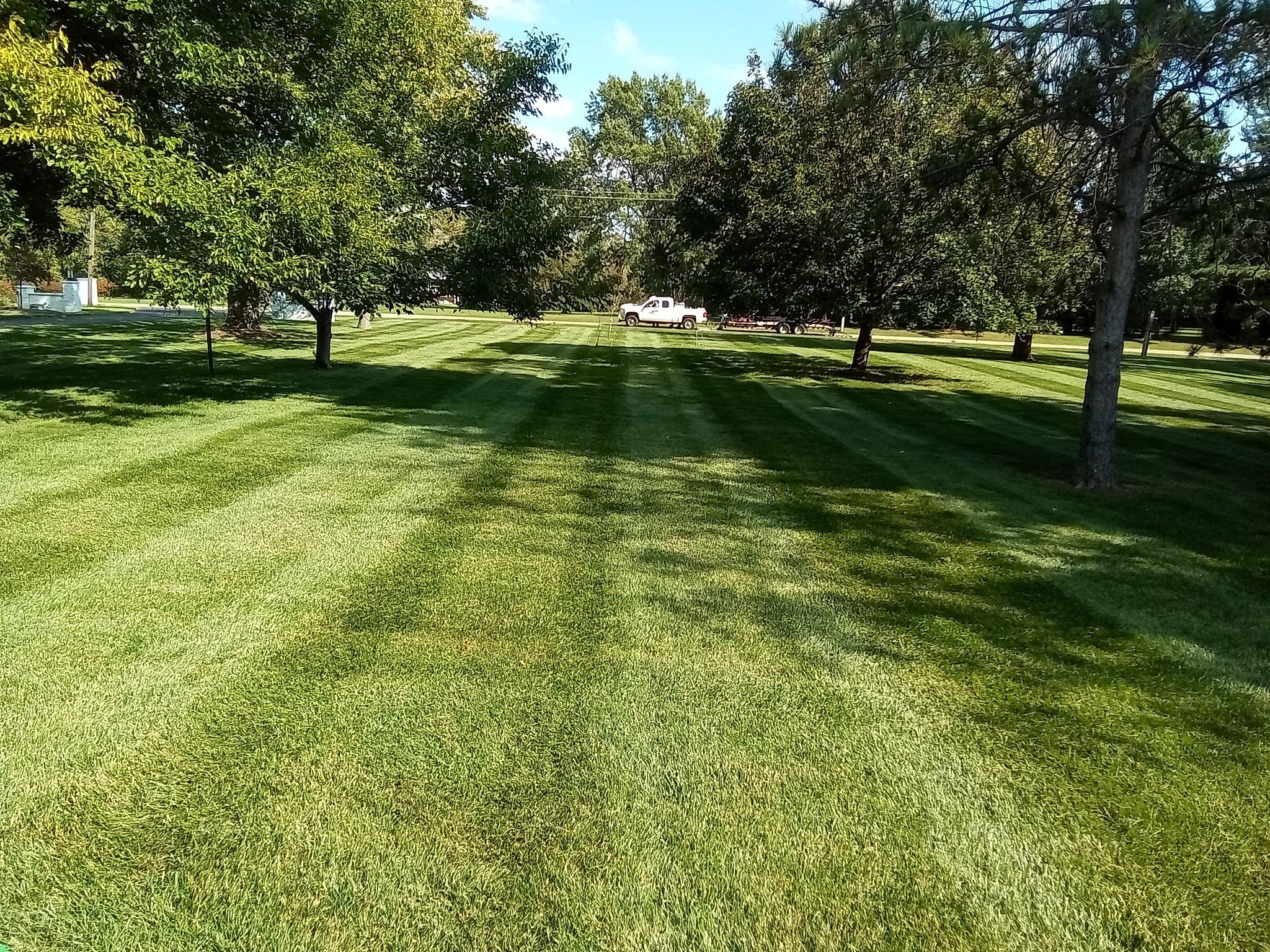Large striped lawn with mature trees after a fresh mow